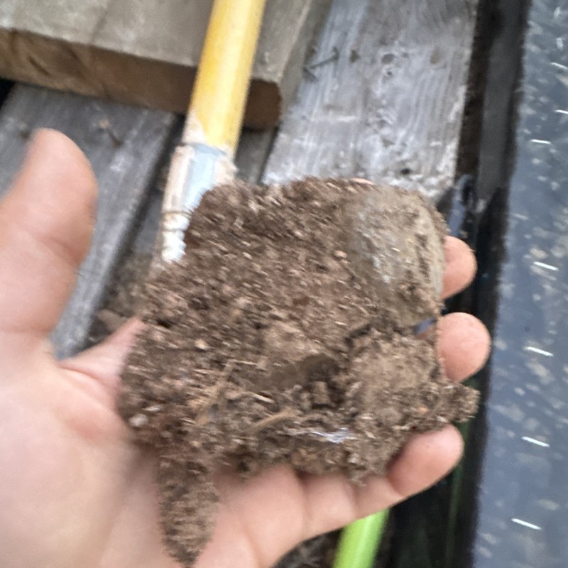 DIRT CHONK