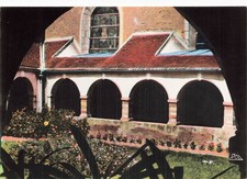 51 SEZANNE L HOSPITAL
