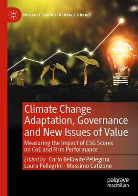 Climate Change Adaptation, Governance and New Issues of Value | Taschenbuch