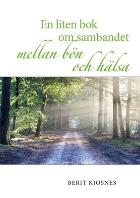 En liten bok om sambandet mellan bön och hälsa Berit Kjosnes Taschenbuch 2021