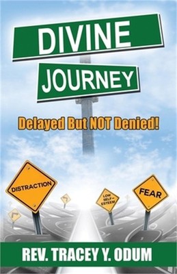 Divine Journey: Delayed But Not Denied! (Paperback or Softback)