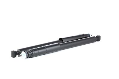 2x TRW JGT1001T Twin Stoßdämpfer Set Gas Hinten