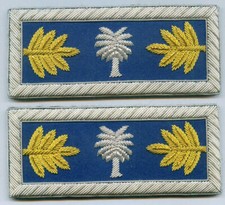 Civil War CSA Army State SC Carolina Straps Boards Palm Uniform Major Officer ID