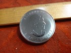 2013 Canada Polar Bear $8 1.5 Oz 0.9999 Silver Coin (Spots) - No Reserve — photo 2