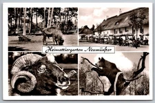 Heimattiergarten Neumünster Animals Cafe Germany Black & White RPPC