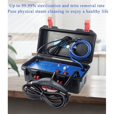 Commerical Dirt Removal Cleaning Machine Car Detailing Steam Cleaner 110V