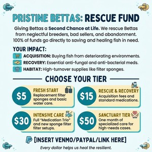 Betta Vet Care Pack 3