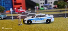 Greenlight El Paso County Colorado Sheriff #1704 Dodge Charger CUSTOM 1/64 scale