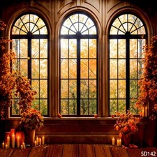 10'x10'CP Window Candle Fall Scenic Microfiber Fabric background backdrop SD142