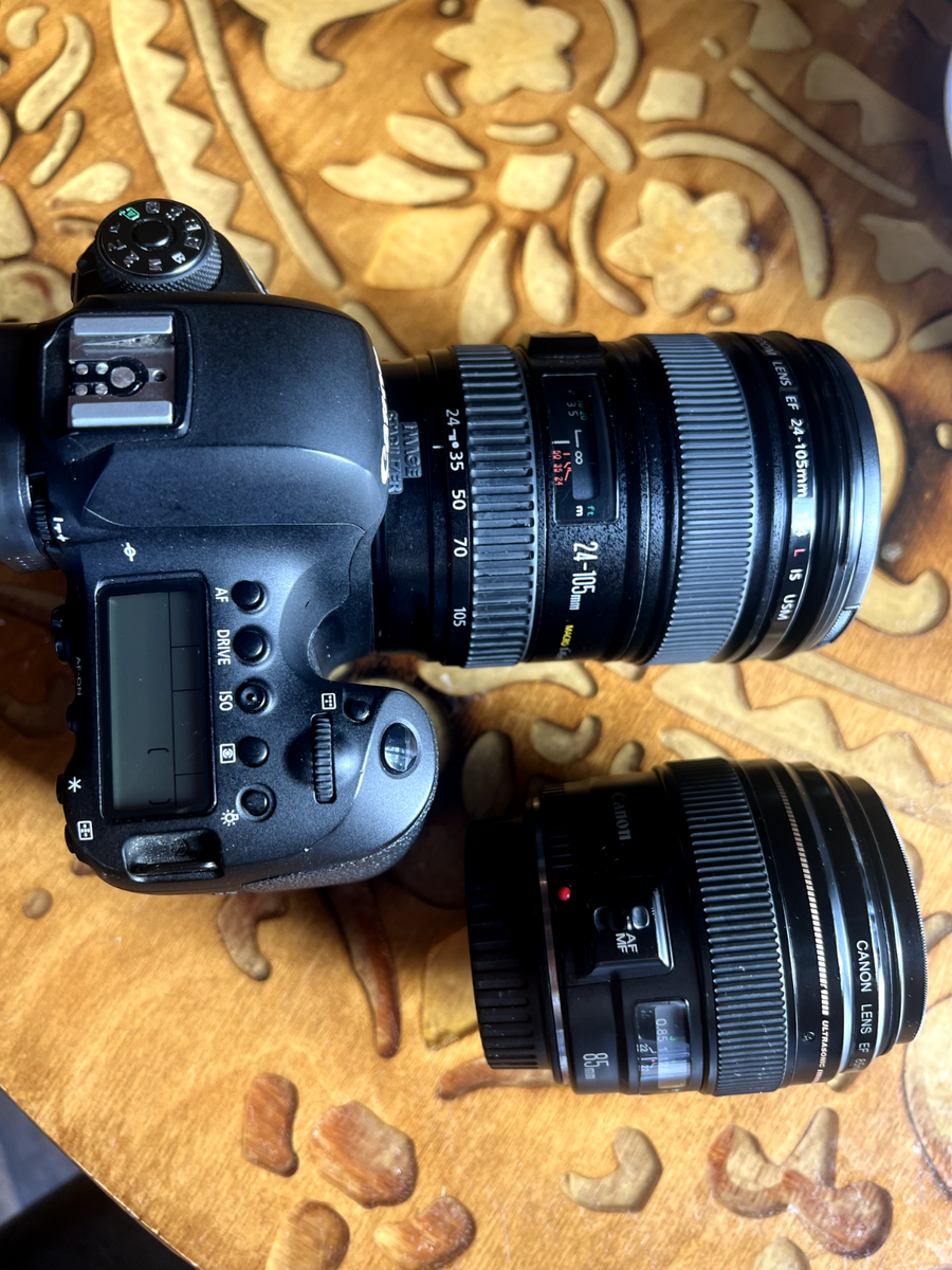 Canon EOS 6D Mark II + Canon EF 24-105mm f/4L IS II + Canon EF