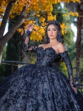 Black Glitter Quinceanera Dresses Ball Gown Long Sleeve Appliques Sweet 16 Gowns