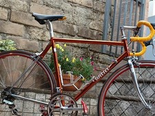  Wilier Triestina Ramata Team Brescialat Casagrande  Colnago Vintage
