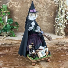 Squirrel  Witch Taxidermy Oddities Curiosities Halloween Taxidermy Display