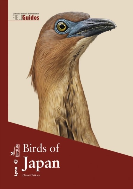 Birds Of Japan