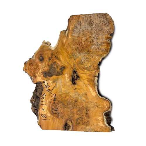 Paela/Chakte Viga Burl Cap/Bowl 18" x 11" x 6" 16 lbs #809 - Picture 2 of 3