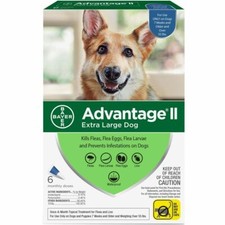 6-Pk Bayer Advantage II Flea Control XL Dogs 55 lbs