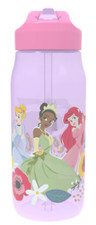 Disney Princess Water Bottle Sippy Cup Straw Top 16 oz