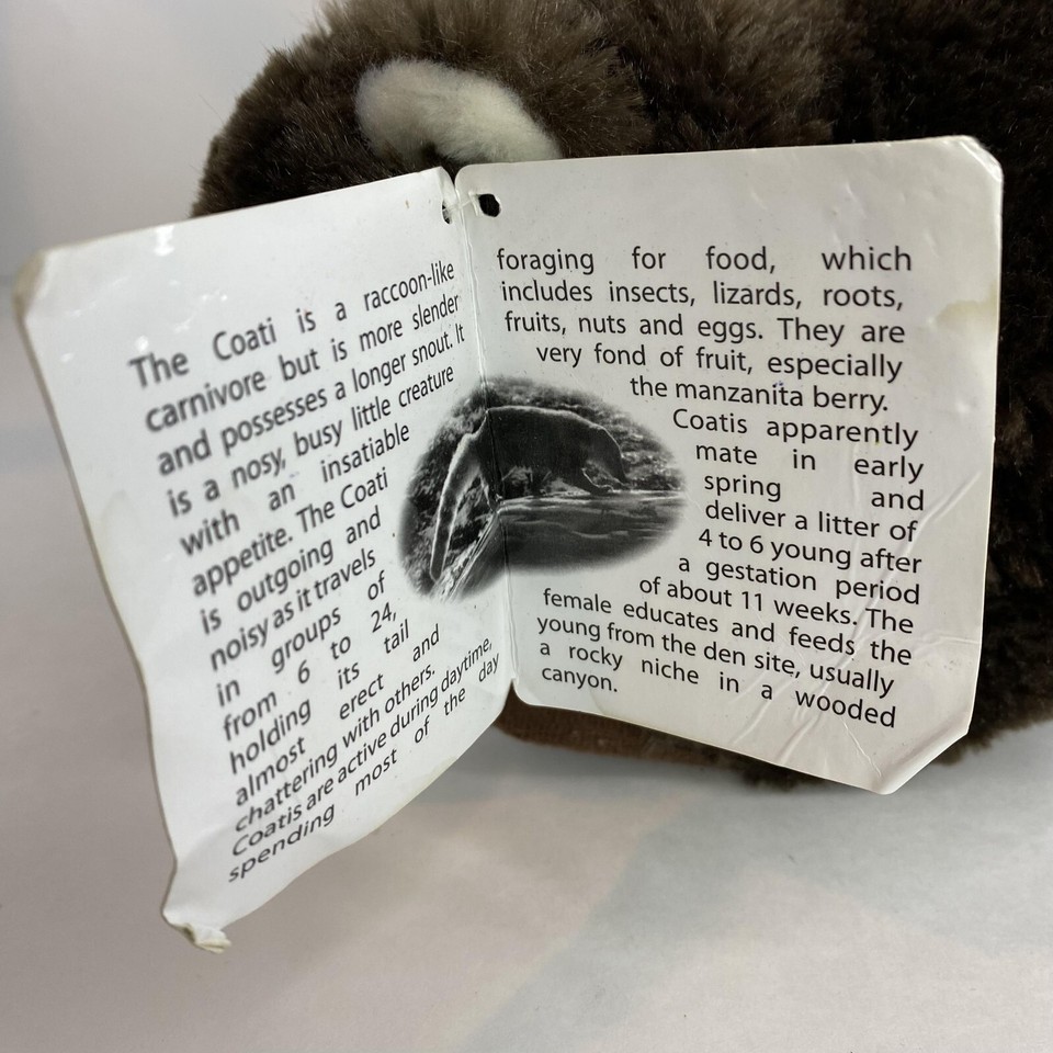Coatimundi, Coati, Realistic Cute Stuffed Animal Plush Toy Kids Gift 12