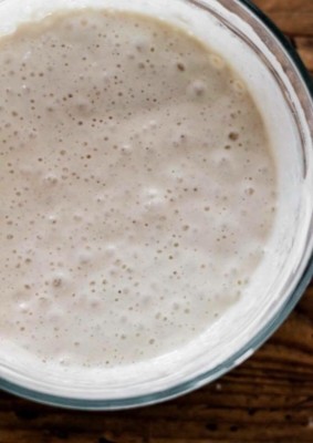 SOURDOUGH STARTER Living for 233YRS Family maintained for Decades ALIVE, Tangy!