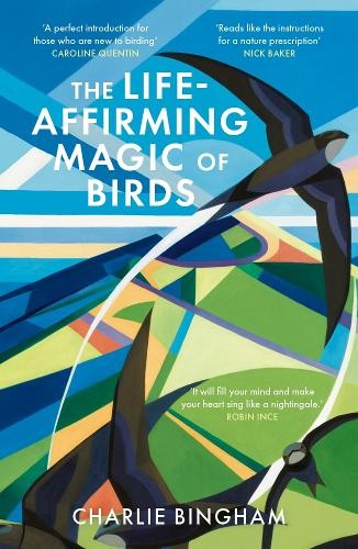 Life Affirming Magic Of Birds - Image 3