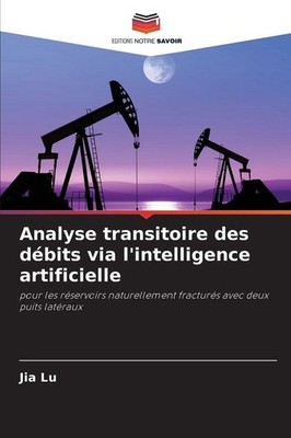 Analyse transitoire des débits via l'intelligence artificielle | Jia Lu