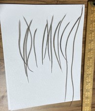 Whiting Farms Pro Grade Dun Saddle Hackle. Size 14.