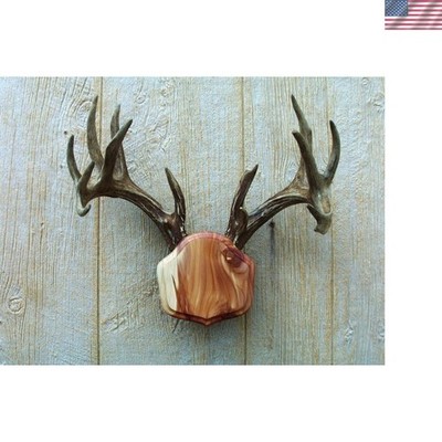 Professional Quality Cedar Antler Display   Hang with No Hardware Needed