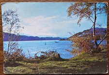 Loch Ness Monster and Urquhart Castle Vintage Comic Postcard