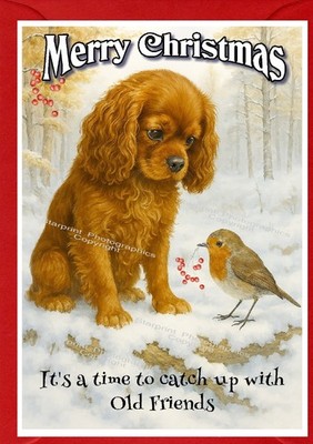 Cavalier King Charles Spaniel (Rubin) Hund (4''x 6'') Weihnachtskarte (innen leer)