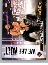 2021 Topps NXT WWE Wrestling Cards Base or Inserts Pick From List