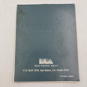 The Immortal (Nintendo Entertainment System, 1990, NES) CIB Complete Authentic