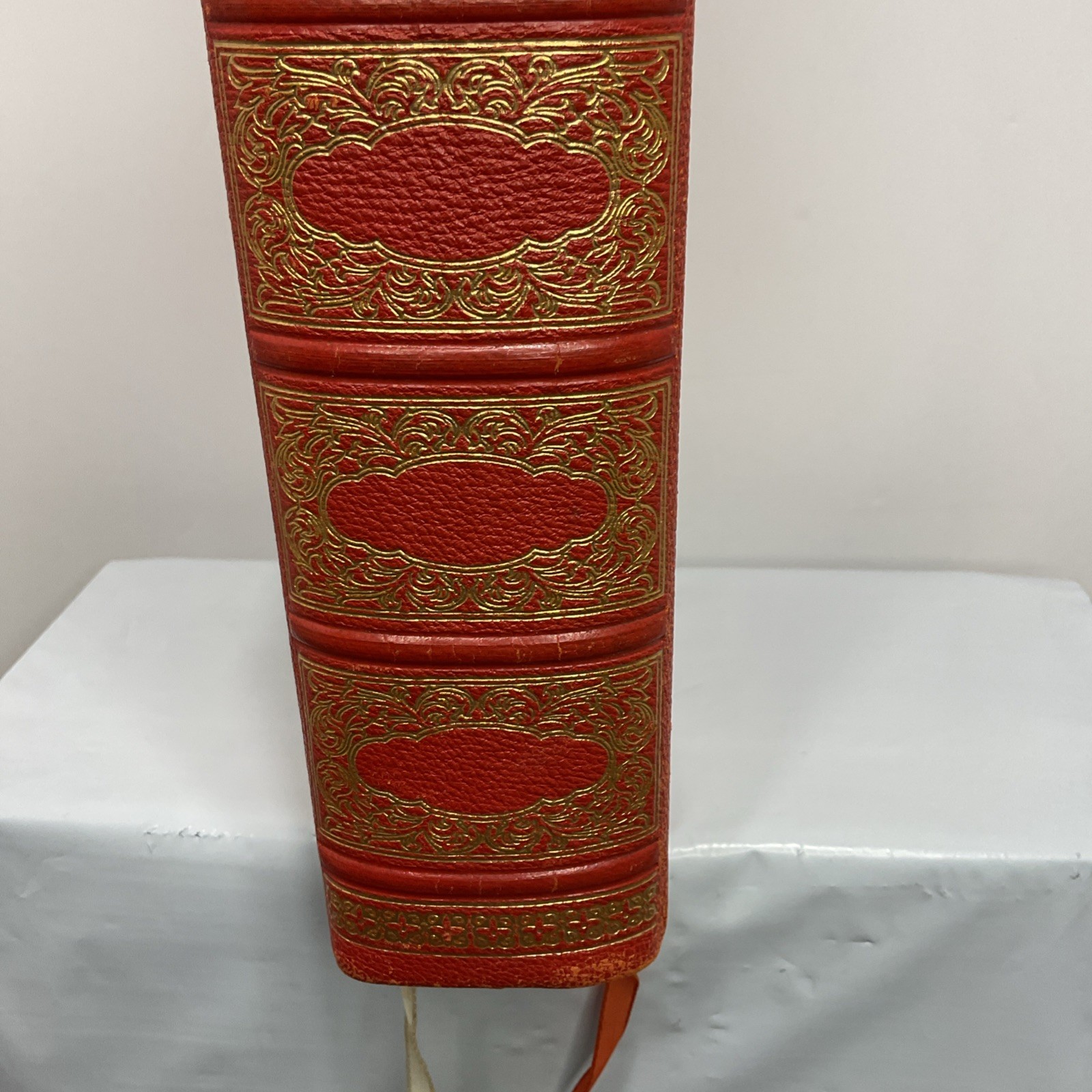 Picture 4 of 22