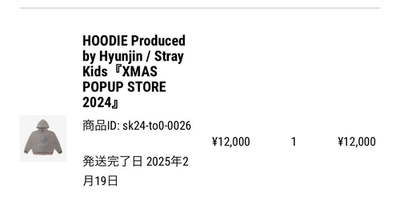 Official Stray Kids HOODIE Produced by Hyunjin XMAS POPUP STORE