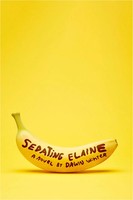 Sedating Elaine | A Novel | Dawn Winter | Taschenbuch | Englisch | 2022