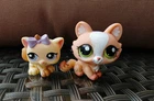 Authentic Littlest Pet Shop LPS Orange White Crouching Cat #1868,Kitten #1337