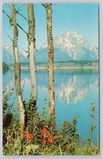 Postcard Mt Moran Grand Teton National Park Jackson Lake Wyoming