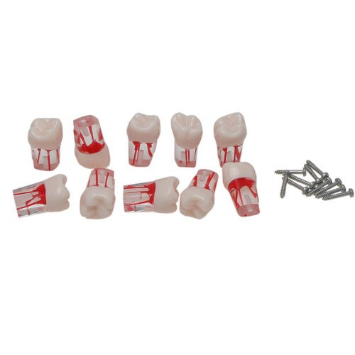 Bloques de estudio de ECA modelo de dientes de práctica de conducto radicular dental para Nissin Kilgore 200 - Imagen 63 de 90