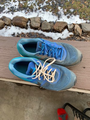 nike pegasus 30 blue