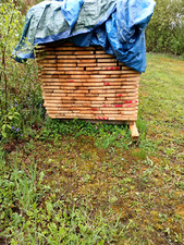 schalungs bretter zöllig 4m lang