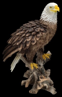 Adler Gartenfigur XL - Weißkopfseeadler - HotAnt Garten Deko Vogel Statue Vögel