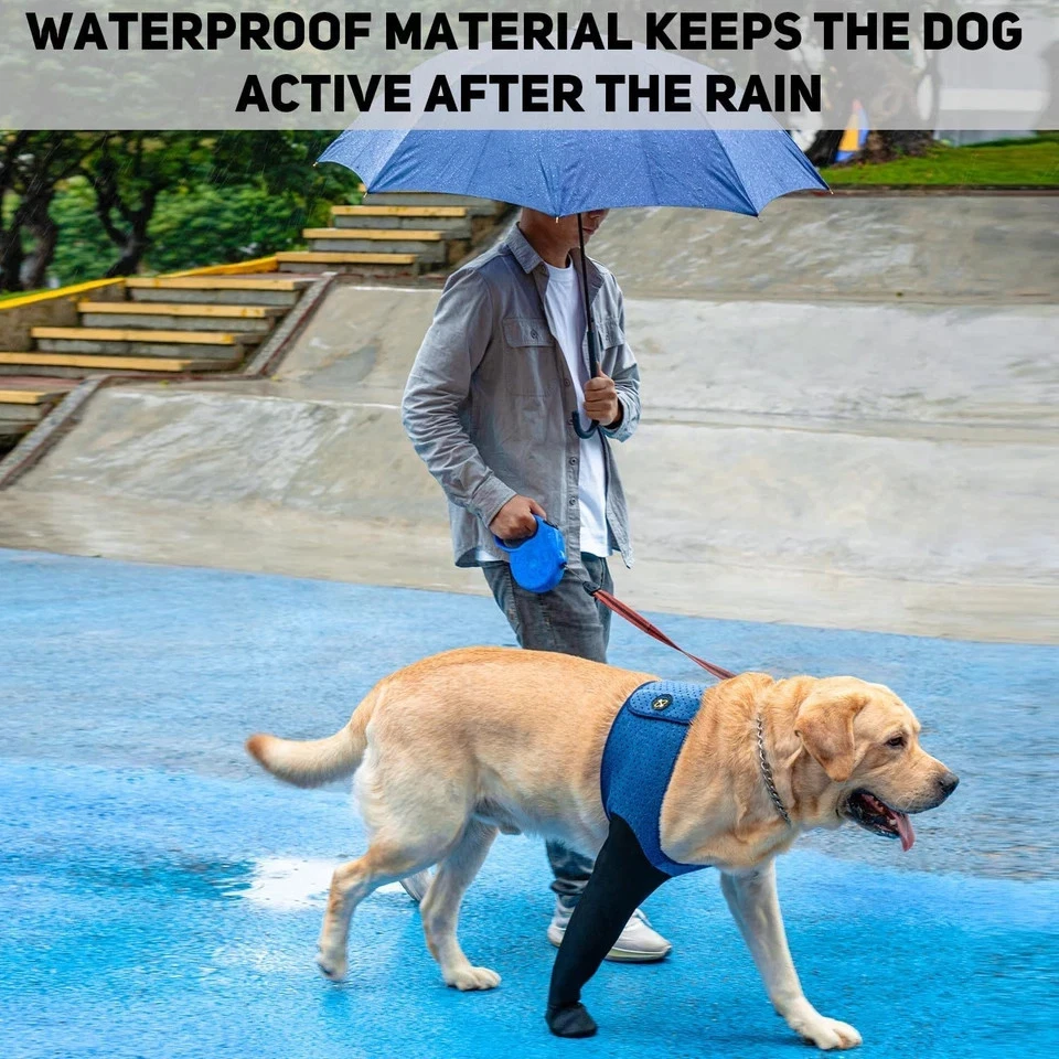 COODEO Calcetines para Perro para Evitar Lamer Patas, Botas Curativas y Protectores de Patas (R/M) Foto 3 de 4