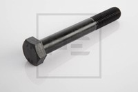 25X 070.452-00A Schraube M 20 X 100