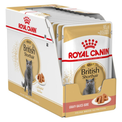 Royal Canin British Shorthair 12x85g Katzenfutter in Soße Britisch Kurzhaar