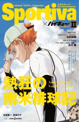 Haikyuu Novel Limited Sportiva Version Complete Set 13 & 13