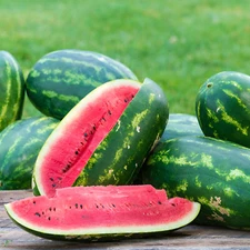 40 Kleckley Sweet Watermelon Seeds! Huge 18-25 Pound Heirloom - Super Sweet!