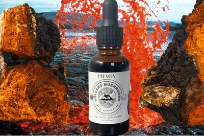 1oz Chaga Dual Extract Tincture (USA Wild Harvested)