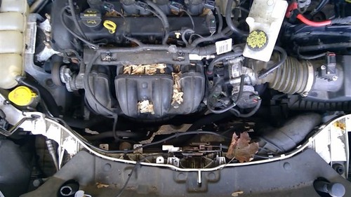 FORD ESCAPE 2013-2019 AC Condenser 3939043 - Picture 6 of 12