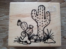 DOTS Rubber Stamp Cactus Desert Rubber Stamp Scene Skull Card Making