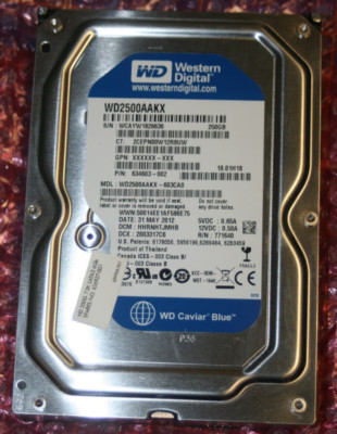 Western Digital Blue 250GB SATA Hard Drive WD2500AAKX TESTED