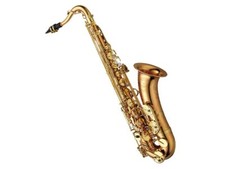 YANAGISAWA T-WO20 Bronze Brass Elite Professional Tenor Saxophone Heavyweight